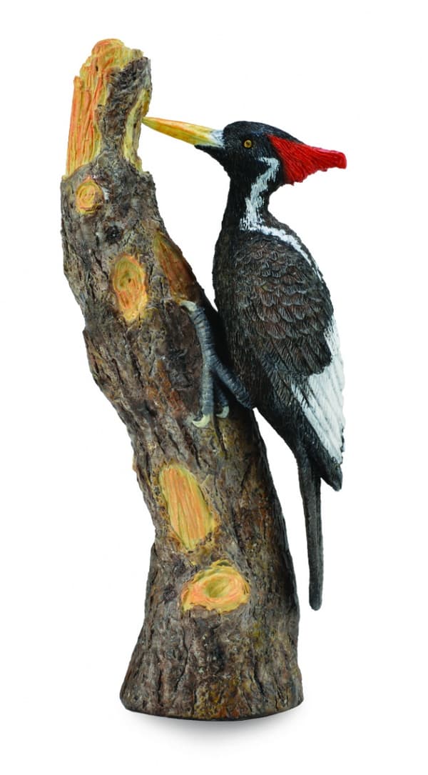 Great-billed Woodpecker L