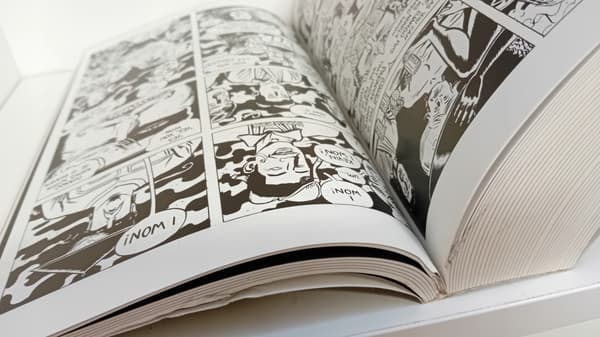 STRAY BULLETS UBER ALLES EDITION TP [9781607069478]