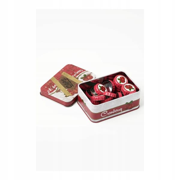 Fallout ‘NUKA CRANBERRY’ Collector’s Edition Console