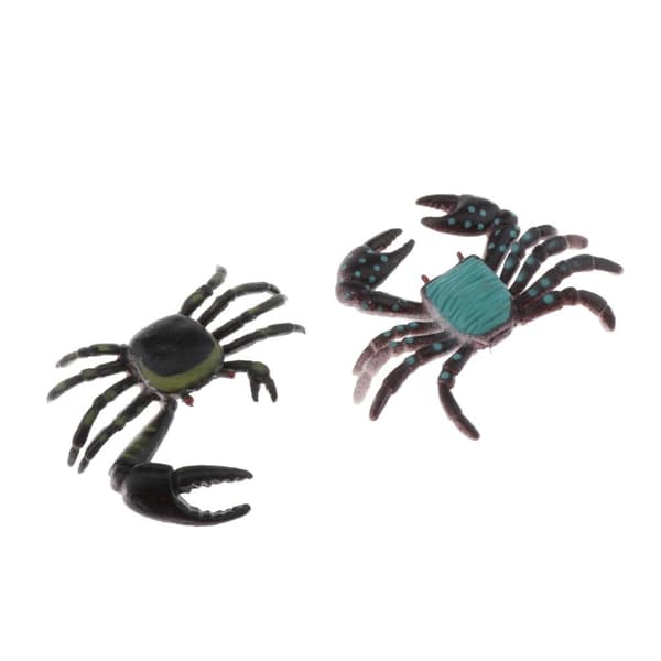 Exotic Animal Models – Caranguejo Educational Range / 4 cm / 8 pieces