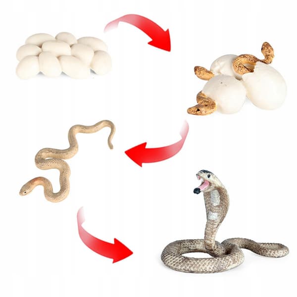 Simulation Animals Growth cycle model Action figures Lovely Baby figure