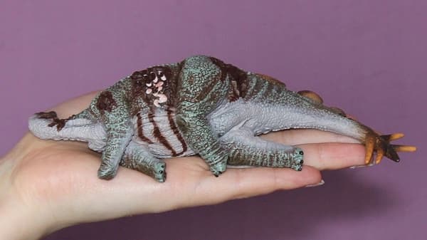 Stegosaurus dinosaur, size L