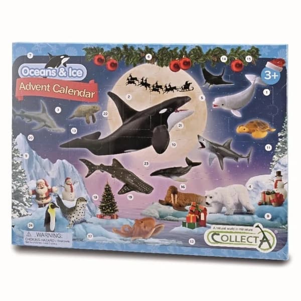 Advent calendar. Sea creatures