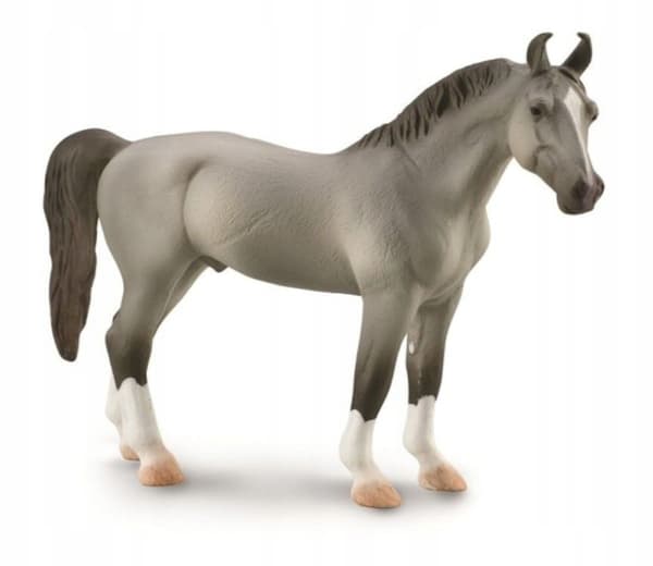MARWARI GREY STALLION XL