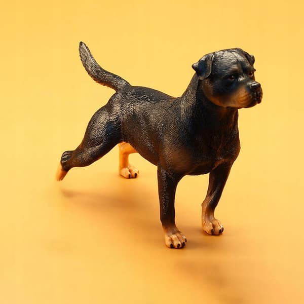 DECORATIVE BLACK PLASTIC DOG MODEL FOR THE HOME AND EDUCATION