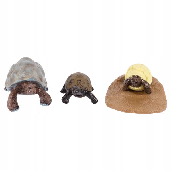 TURTLE LIFE CYCLE FIGURINE SET – DECORATION AND EDUCATIONAL TOY