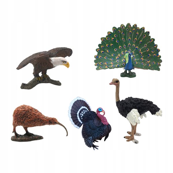 5x Hand-Painted Lifelike Birds Simulation Educational Toy Model in D-Style