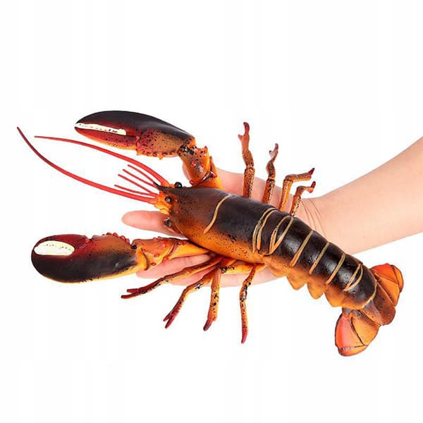 Lifelike Marine Animals: Lobster Model – Education