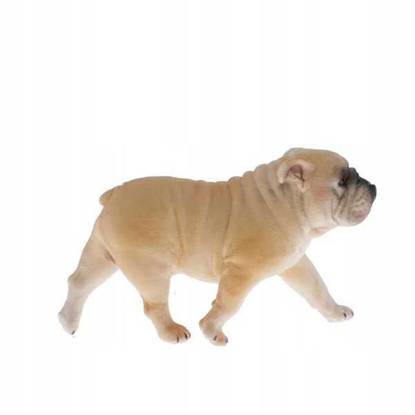 Simulation Pets Animal model Figurine Educational toy Decoration 1