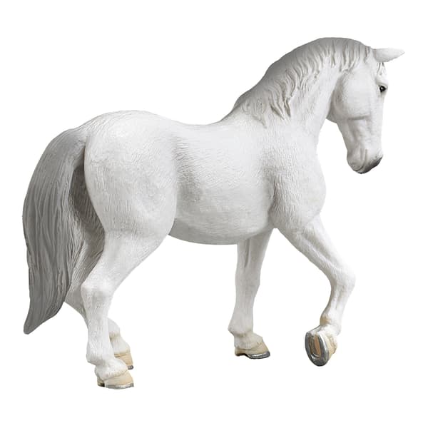 Mojo, a Lipizzaner mare