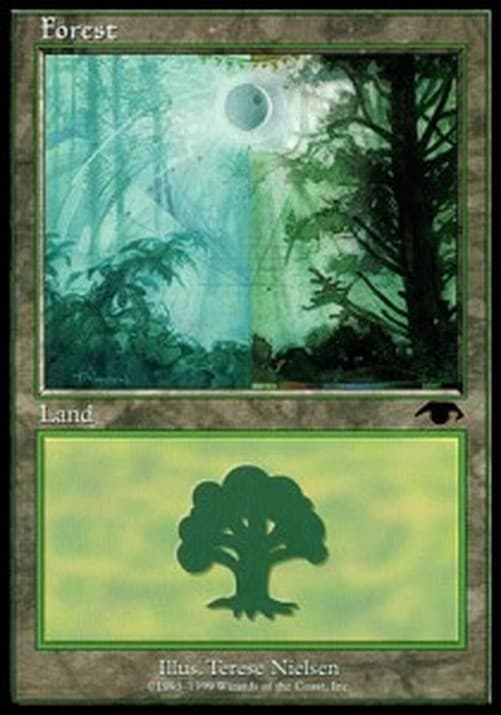 Magic: The Gathering Forest