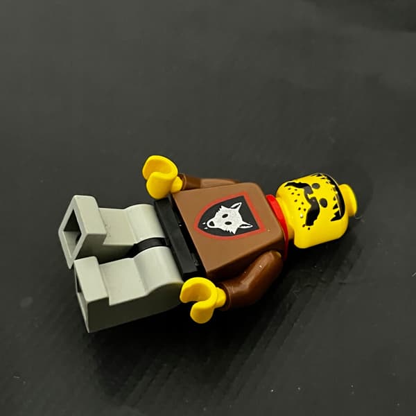 cas252 LEGO Minifigure Misprint