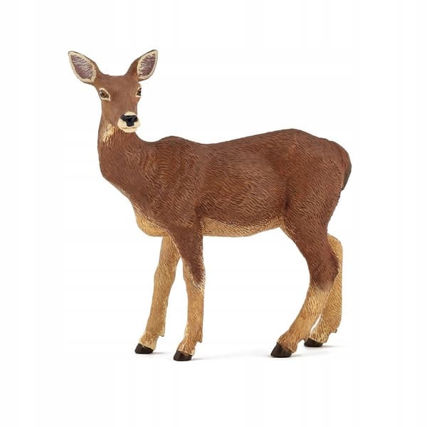ŁANIA – DOE – PAPO – 53014