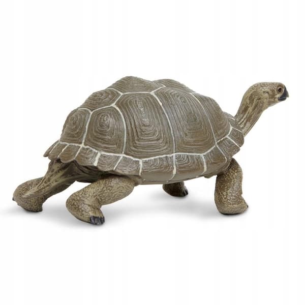 TURTLE - Tortoise - Safari Ltd. - 260729
