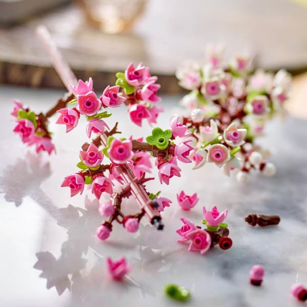 LEGO Botanicals 40725 Cherry Blossoms + PDF CATALOGUE