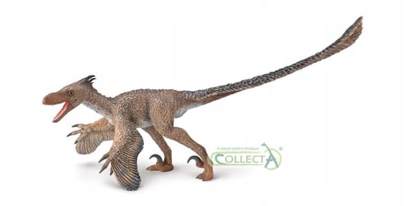 INGENTIA PRIMA 1:40, COLLECTA