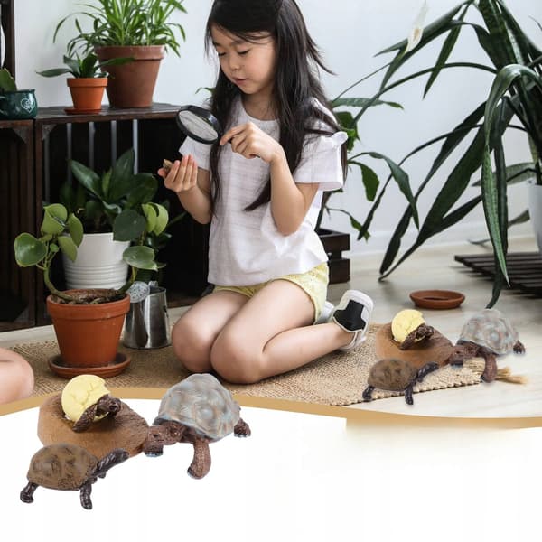 TURTLE LIFE CYCLE FIGURINE SET – DECORATION AND EDUCATIONAL TOY