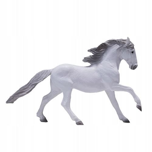 Mojo, a white Lusitano horse