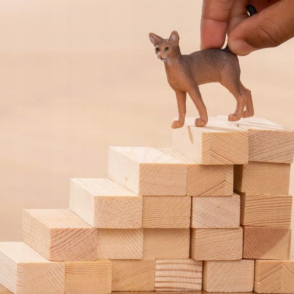 SCHLEICH 13964 Abyssinian cat