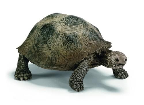 Schleich 14601 Giant Tortoise Figurine