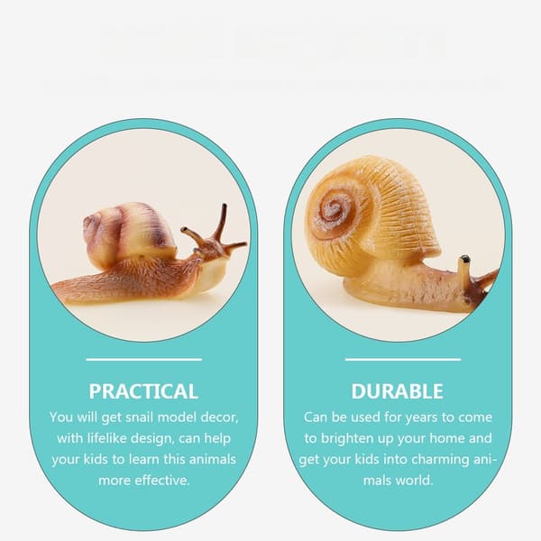 4-PIECE REALISTIC SNAIL MODEL – CAKE DECORATION AND EDUCATIONAL AID