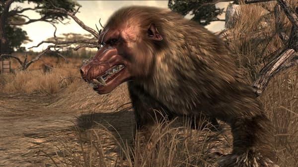 Cabela's Dangerous Adventures for Wii