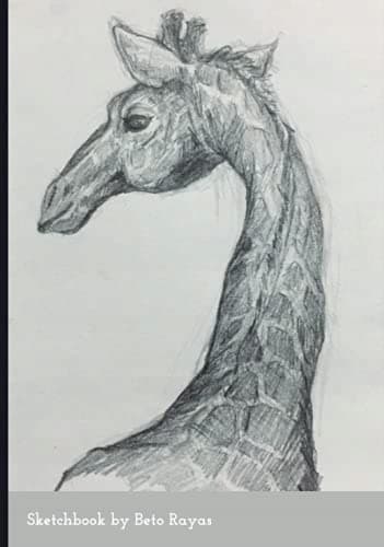 Sketchbook: A great tool for designing beautiful compositions and practising sketching