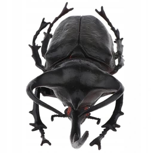 3x Lifelike Beetle Figures – Insects