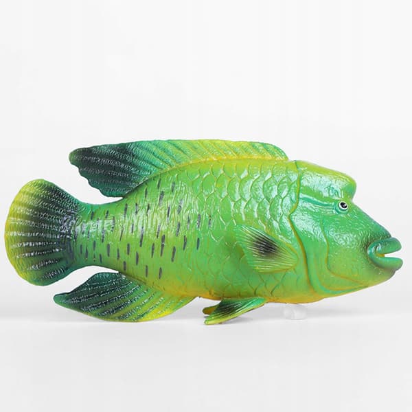 DURABLE PLASTIC MODEL OF A GREEN NAPOLEON FISH