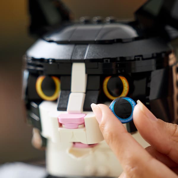 LEGO Ideas Black and White Cat 21349