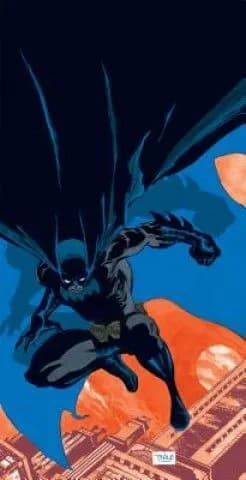 BATMAN: HAUNTED KNIGHT – Jeph Loeb (COMIC)