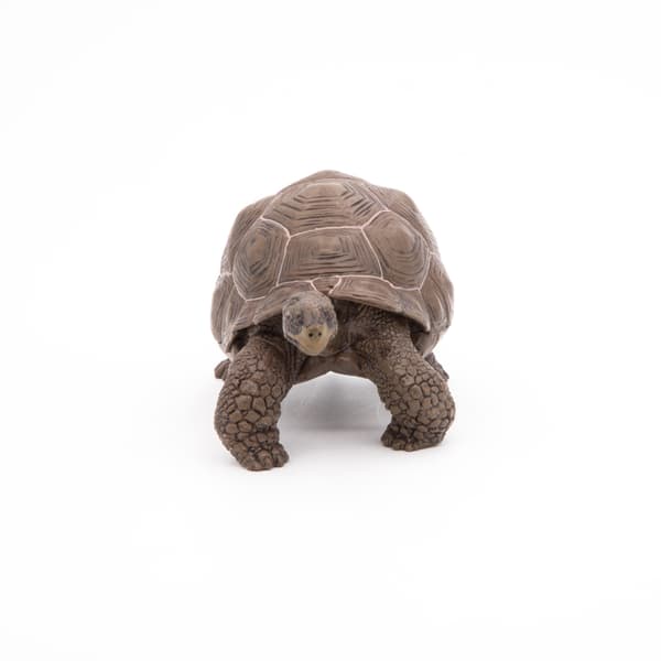 GALAPAGOS TURTLE [FIGURINE]