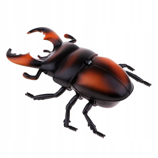 Radio-controlled ‘Scared Beetles’ toy model for a Hallowmas party