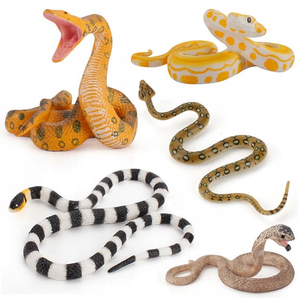 5 REALISTIC PVC SNAKE MODELS – CHILDREN’S TOY