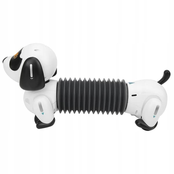 A robot toy for a puppy