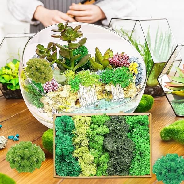 Green Stuff Islandmoss Assorted Colours Lichen 250g MEGA PACK ARTIFICIAL MOSS