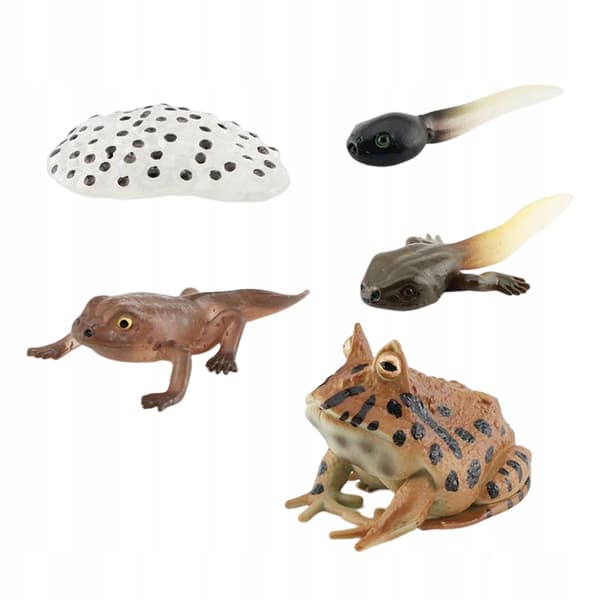 Life cycle figurines – Realistic animal style C