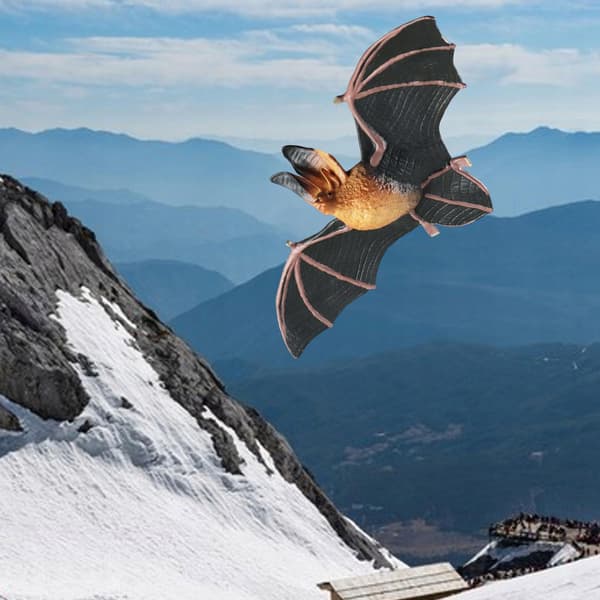 High-quality, realistic simulated accessories for bat models – Mini animal model