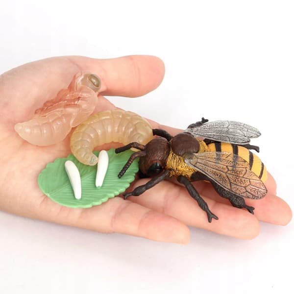 Realistic animal figures. Set includes separate pieces. Non-toxic and BPA-free. Bee