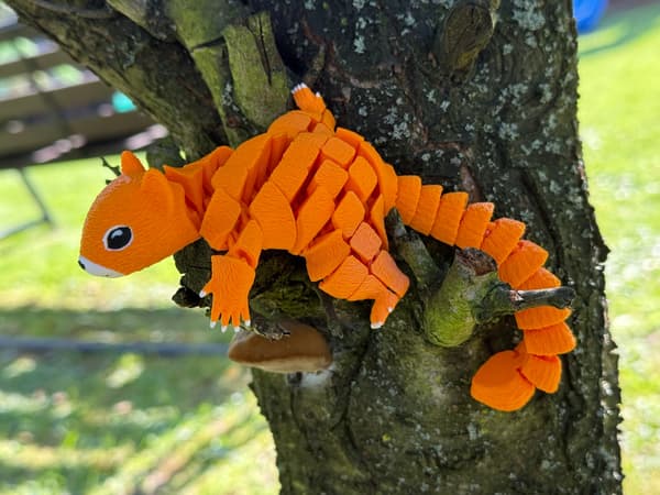 3D Segmented Squirrel – Your movable, stress-relieving friend, a toy
