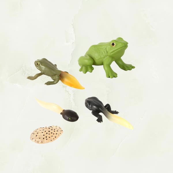 ANIMAL FIGURINES FOR DISPLAY AND LEARNING – A SET FOR CHILDREN