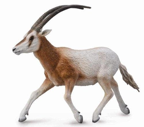 Oryx gazelle (L)