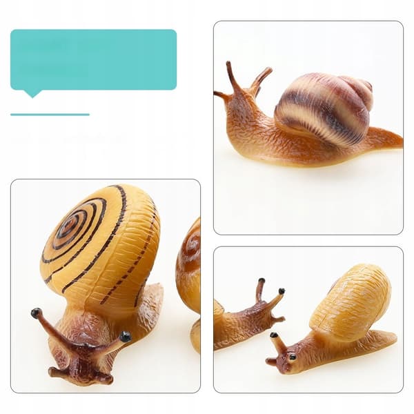 4-PIECE REALISTIC SNAIL MODEL – CAKE DECORATION AND EDUCATIONAL AID