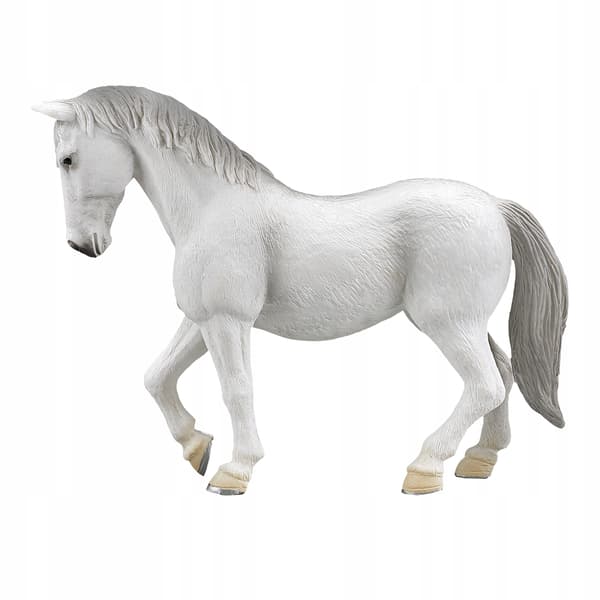 Mojo, a Lipizzaner mare