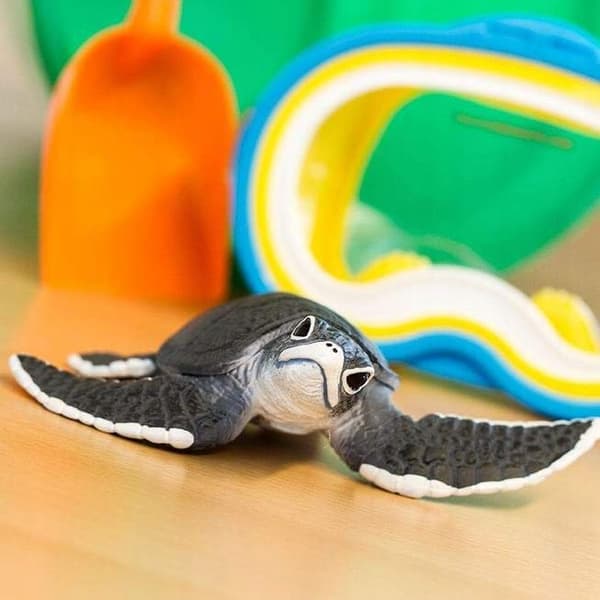 YOUNG SEA TURTLE - Safari Ltd. - 268129
