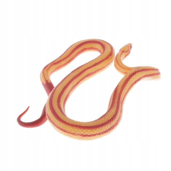Animals Action figure models Educational science Educational snake