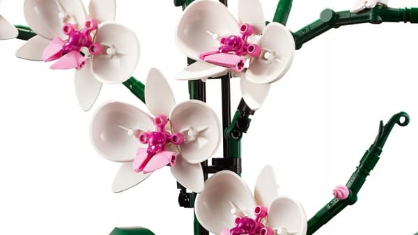 LEGO Creator Expert 10311 Orchid