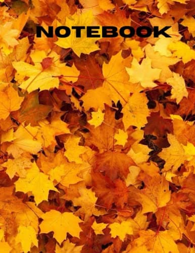 notebook: 120 pages