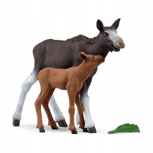Moose with a calf 42603