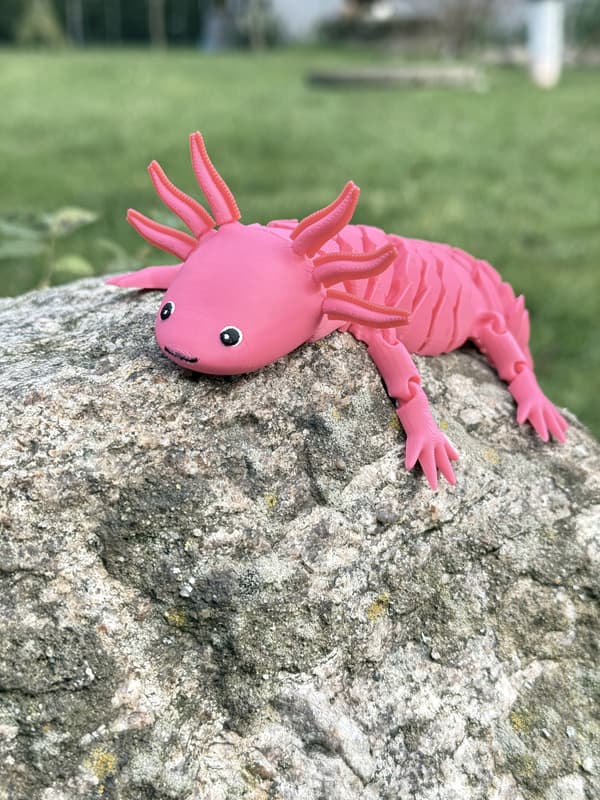 Aksolotl XL Segmented 3D – A fabulous, flexible, posable figurine and toy